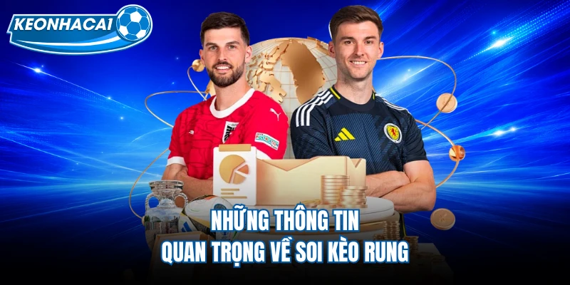 Những yếu tố quan trọng khi phân tích kèo rung